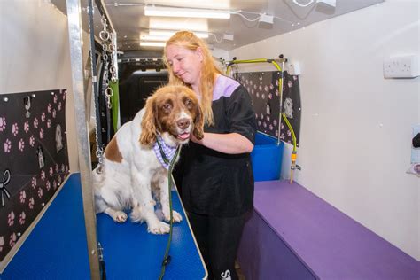 Mobile groomer - Prices for mobile pet grooming services can vary. Nationally, the average for dog grooming prices is $60-$80, including both standard and mobile services. Mobile dog grooming prices may be higher if the company has a dedicated truck or van than if they do the grooming on your premises. 